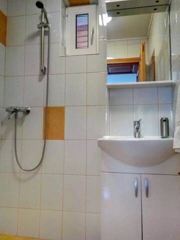Фото номера Двухместный номер с 1 кроватью и собственной ванной комнатой Гостевой дом Pension Janssen г. Şura Mare 13